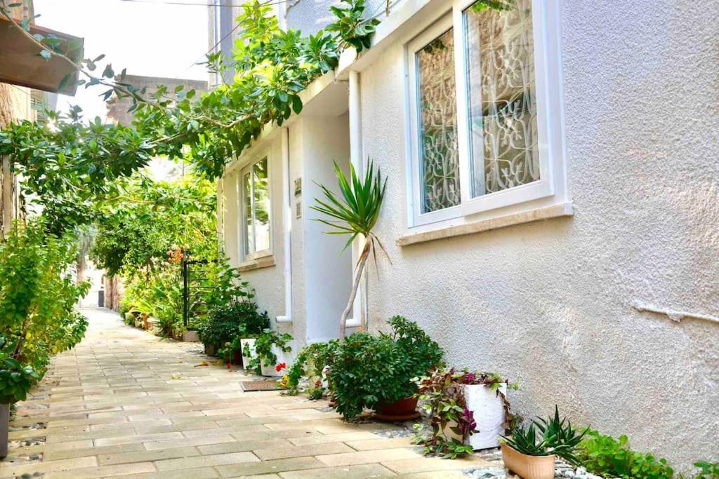 Templar Guesthouse Αμμόχωστος Εξωτερικό φωτογραφία